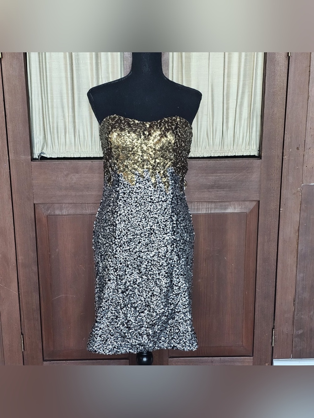 Alberto Makali Gold-to-Silver Ombre Sequin Strapless Dress